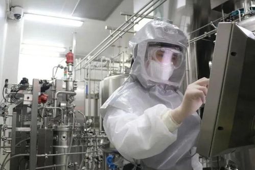 國產(chǎn)疫苗開始發(fā)力,生產(chǎn)車間加班加點,預計年產(chǎn)1.2億劑